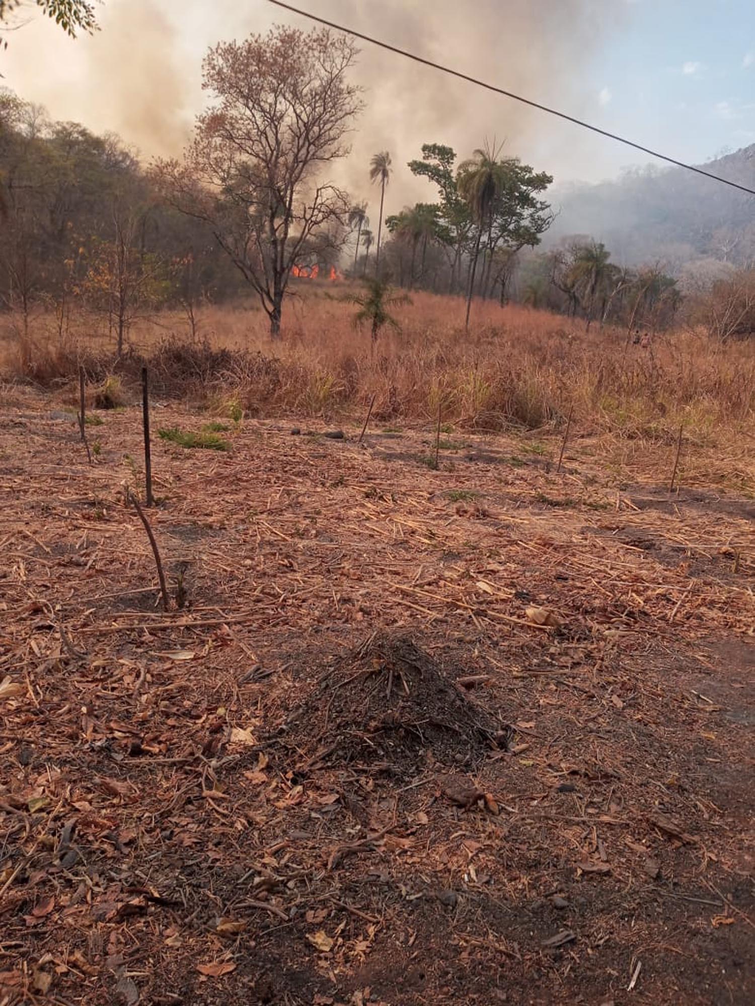 Feu de savane déclenché de façon criminelle à proximité d’une communauté rurale dans la région de Formosa (Crédit : MST)